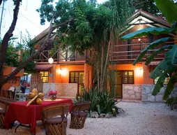 Casa Kiwi | Quintana Roo - Solidaridad - Playa del Carmen - Centro