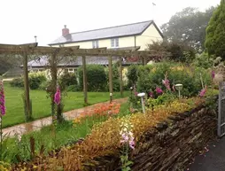 Barton Gate Farm Guesthouse | Devon (kontluk) - Holsworthy - Pancrasweek