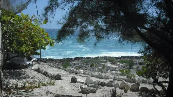 Jackies on the Reef | Westmoreland - Negril (ve civarı) - Negril - West End (Batı Ucu)