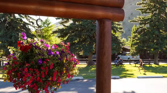 Elk Country Inn | Wyoming - Jackson Hole (ve civarı) - Jackson