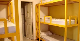 Mango Tree Hostel | Rio de Janeiro (eyaleti) - Rio de Janeiro (ve civarı) - Alto da Boa Vista - Ipanema