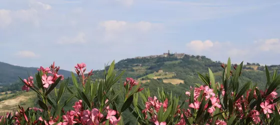 Agriturismo Materno | Toskana - Siena (vilayet) - San Gimignano - Val d'Elsa