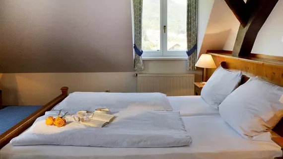 Hotel Alter Packhof | Aşağı Saksonya - Hann. Muenden - Hann. Münden