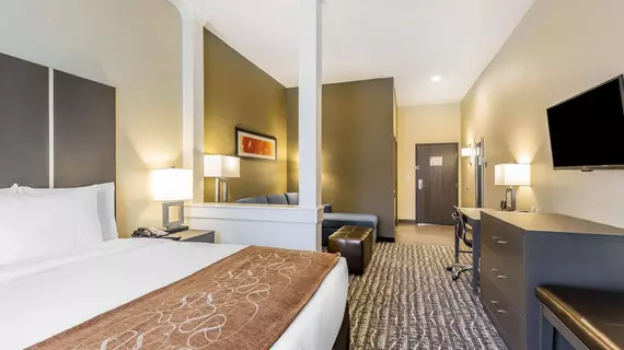 Comfort Suites Northwest Houston at Beltway 8 | Teksas - Houston (ve civarı) - Houston