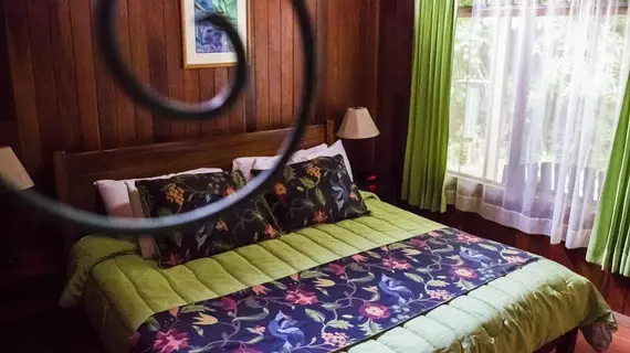 Cloud Forest Lodge | Puntarenas (ili) - Monteverde