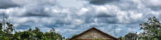 del Bosque | Alajuela (ili) - Rio Cuarto de Grecia