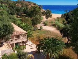 Le clos des sept palmiers | Provence - Alpes - Cote d'Azur - Var - Sainte-Maxime - Saint-Tropez (ve civarı) - Cavalaire-sur-Mer