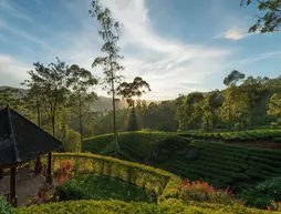 Ceylon Tea Trails | Merkez Vilayet - Nuwara Eliya Bölgesi - Hatton