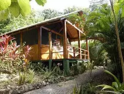 Blue Jay Lodge | Puntarenas (ili) - Cobano - Mal Pais