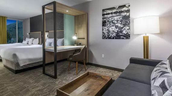 SpringHill Suites Jackson Hole | Wyoming - Jackson Hole (ve civarı) - Jackson