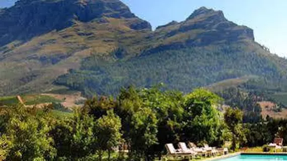 Le Pommier Wine Estate | Western Cape (il) - West Coast DC - Drakenstein - Cape Town (ve civarı) - Stellenbosch