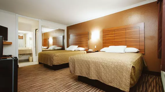 Palace Inn Wayside | Teksas - Houston (ve civarı) - Houston