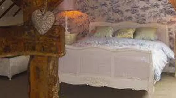 Wollaston Lodge Bed And Breakfast | Shropshire (kontluk) - Shrewsbury