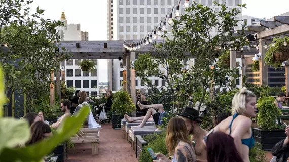 Ace Hotel New Orleans | Louisiana - New Orleans (ve civarı) - New Orleans - Merkezi İş Bölgesi