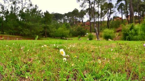 Bosque Escondido Hotel de Montaña | Jalisco - Guadalajara (ve civarı) - Mazamitla