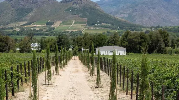 Lily Pond House at Le Lude | Western Cape (il) - West Coast DC - Drakenstein - Cape Town (ve civarı) - Franschhoek