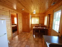 Birch Forest Lodge | Minnesota - Orr (ve civarı) - Orr