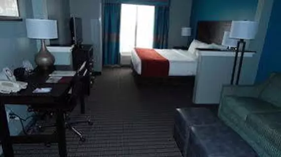 Comfort Suites Tampa | Florida - Tampa (ve civarı) - Tampa