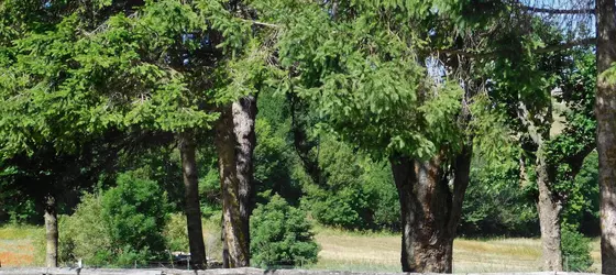 La Locanda sul Lago | Abruzzo - L'Aquila (il) - Santo Stefano di Sessanio