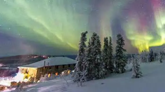 Mount Aurora Lodge | Alaska - Fairbanks (ve civarı) - Fairbanks