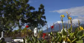 Hotel El Carmen | Sacatepequez - Antigua Guatemala