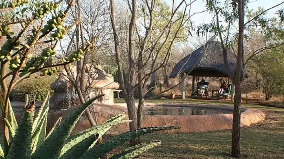 Jackalberry Ridge | Mpumalanga - Nkomazi - Marloth Park