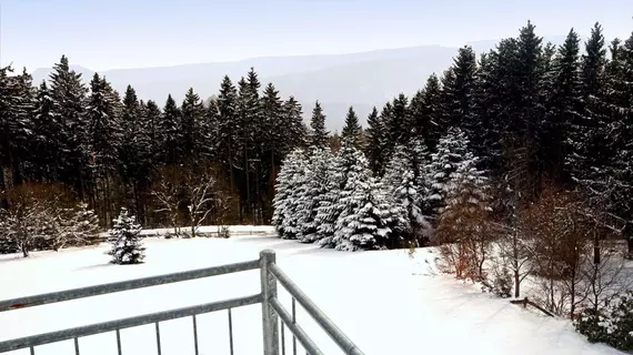 Appart-Hotel Harmonie | Kuzey Ren-Westfalia - Hochsauerlandkreis - Winterberg