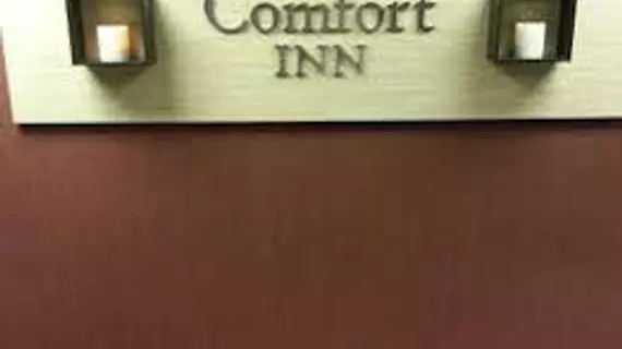 Comfort Inn Mountain Home | Arkansas - Mountain Home (ve civarı) - Mountain Home