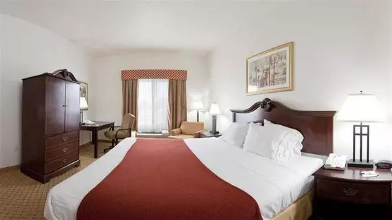 Holiday Inn Express Hotel & Suites Tampa Stadium-Airport | Florida - Tampa (ve civarı) - Tampa