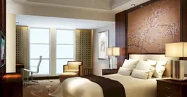 Xi'an Holiday Inn Taoyuan | Şaanksi - Xi'an - Lianhu