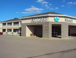 El Lobo Motel | Alberta - Bonnyville (ve civarı) - Cold Lake