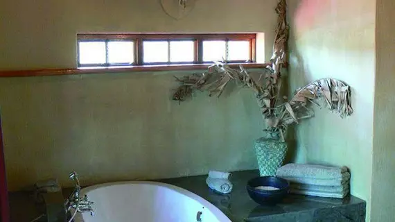 Abloom Bush Lodge and Spa Retreat | Gauteng - City of Tshwane - Johannesburg (ve civarı) - Cullinan