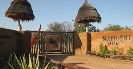 Mafigeni Safari Lodge | Limpopo - Greater Tzaneen - Gravelotte