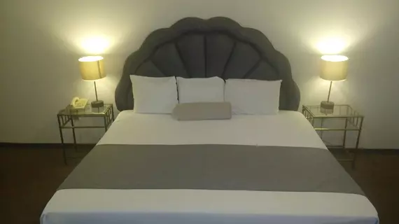 Hotel Suites Bernini | Jalisco - Guadalajara (ve civarı) - Guadalajara