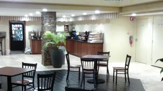 5th Avenue Inn & Suites | Minnesota - Rochester (ve civarı) - Rochester