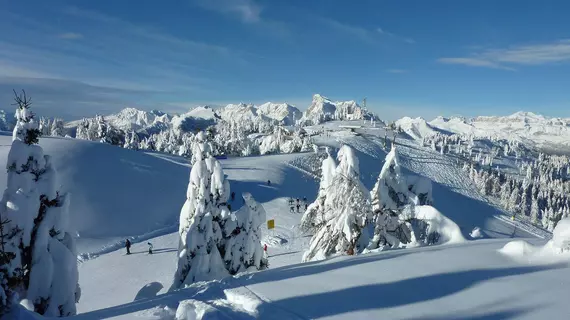 Hotel Alla Posta | Veneto - Belluno (vilayet) - Alleghe