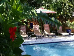 Island Sands Inn | Florida - Fort Lauderdale (ve civarı) - Wilton Manors