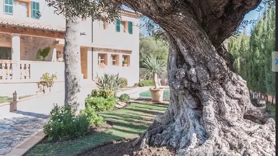 Villa Puigpunyent Tramuntana | Balearic Adaları - Mayorka Adası - Puigpunyent