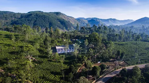 The Tea Tree Resort | Badulla Bölgesi - Ella