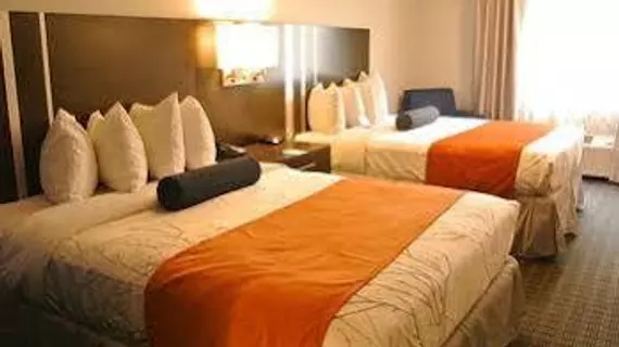 Guesthouse Inn & Suites Lexington | Kentucky - Lexington (ve civarı) - Lexington