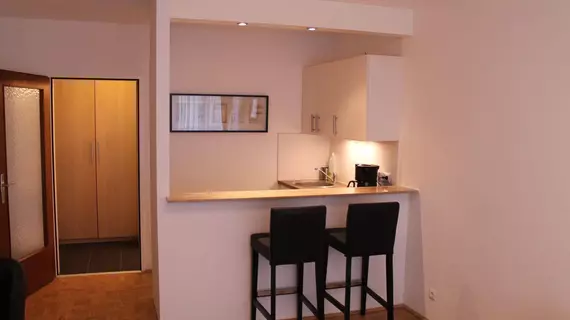 Vienna's Place Studio-Apartments Karlsplatz | Vienna (eyalet) - Viyana