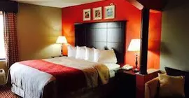 Comfort Inn and Suites Melvindale | Michigan - Detroit (ve civarı) - Melvindale