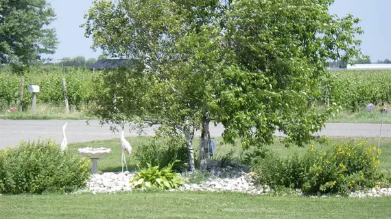 A Vineyard View Bed and Breakfast | Ontario - Niagara Regional Belediyesi - Niagara Şelalesi (ve civarı), Kanada - Niagara-on-the-Lake