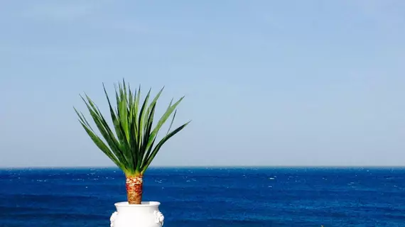 Playa del Mar | Puglia - Bari (il) - Monopoli