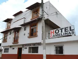 Hotel Posada Camelinas | Michoacan - Morelia (ve civarı) - Patzcuaro