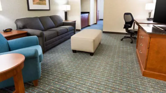 Drury Inn and Suites Grand Rapids | Michigan - Grand Rapids (ve civarı) - Grand Rapids