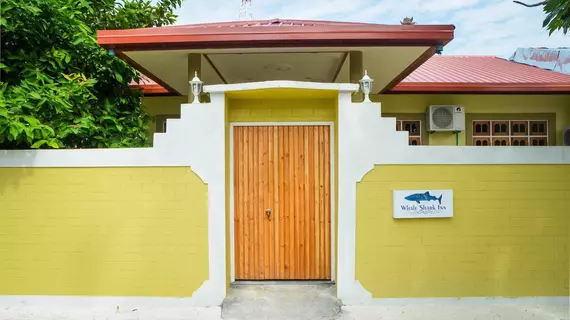 Whale Shark Inn Maldives | Maldivler - Güney Ari Mercan Adası - Maamigili