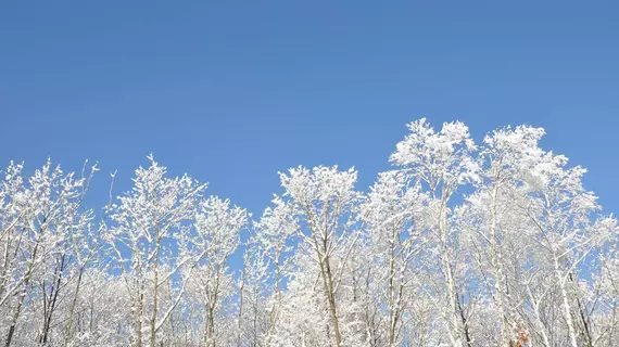 Polaris | Hokkaido - Teshikaga