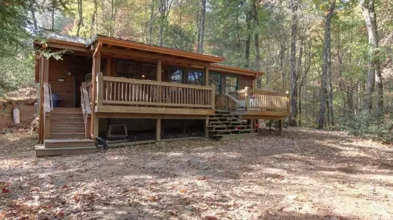 Cherokee Point Cabin | Georgia - Blue Ridge (ve civarı) - Ellijay