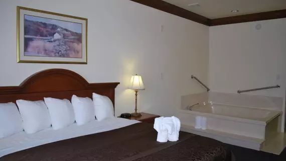 BEST WESTERN INN | Teksas - Fort Worth (ve civarı) - Fort Worth